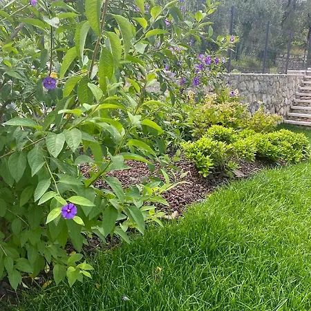 Relais Pinf 말세진느