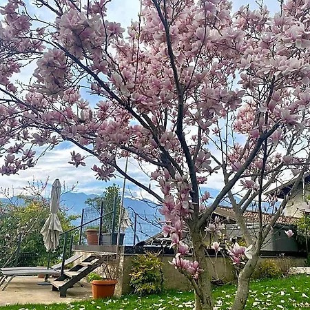 Relais Pinf Oda ve Kahvaltı Malcesine