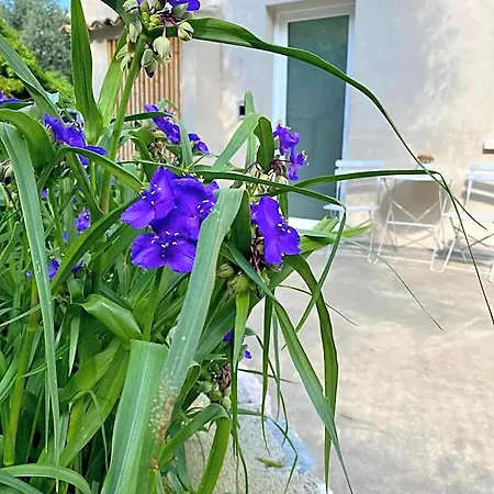 Oda ve Kahvaltı Relais Pinf Malcesine