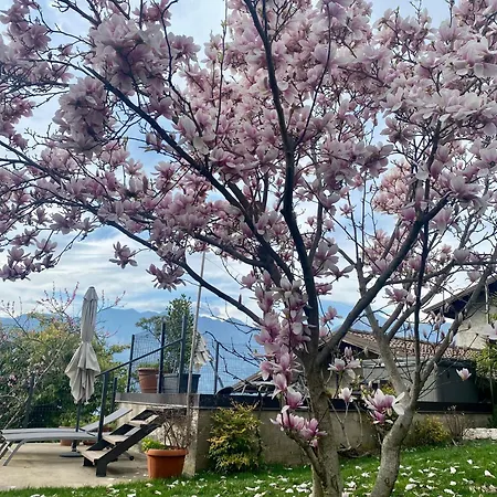 Relais Pinf Frühstückspension Malcesine